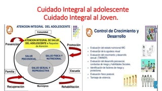 CCuidado Integral al adolescente
Cuidado Integral al Joven.
 