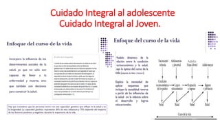 CCuidado Integral al adolescente
Cuidado Integral al Joven.
 