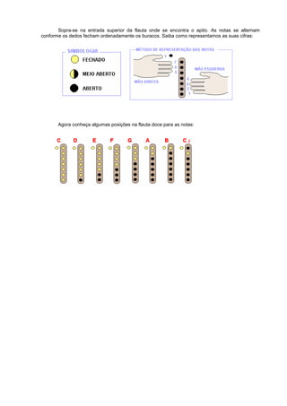 Sopra-se na entrada superior da flauta onde se encontra o apito. As notas se alternam
conforme os dedos fecham ordenadamente os buracos. Saiba como representamos as suas cifras:
Agora conheça algumas posições na flauta doce para as notas:
 