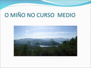 O MIÑO NO CURSO MEDIO 
 