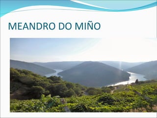 MEANDRO DO MIÑO 
 