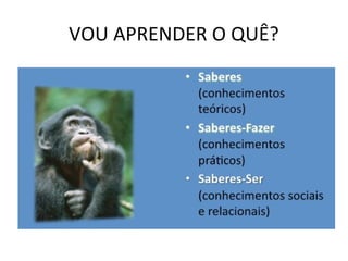 VOU APRENDER O QUÊ?
 