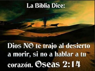 El allanamiento penal_IAFJSR