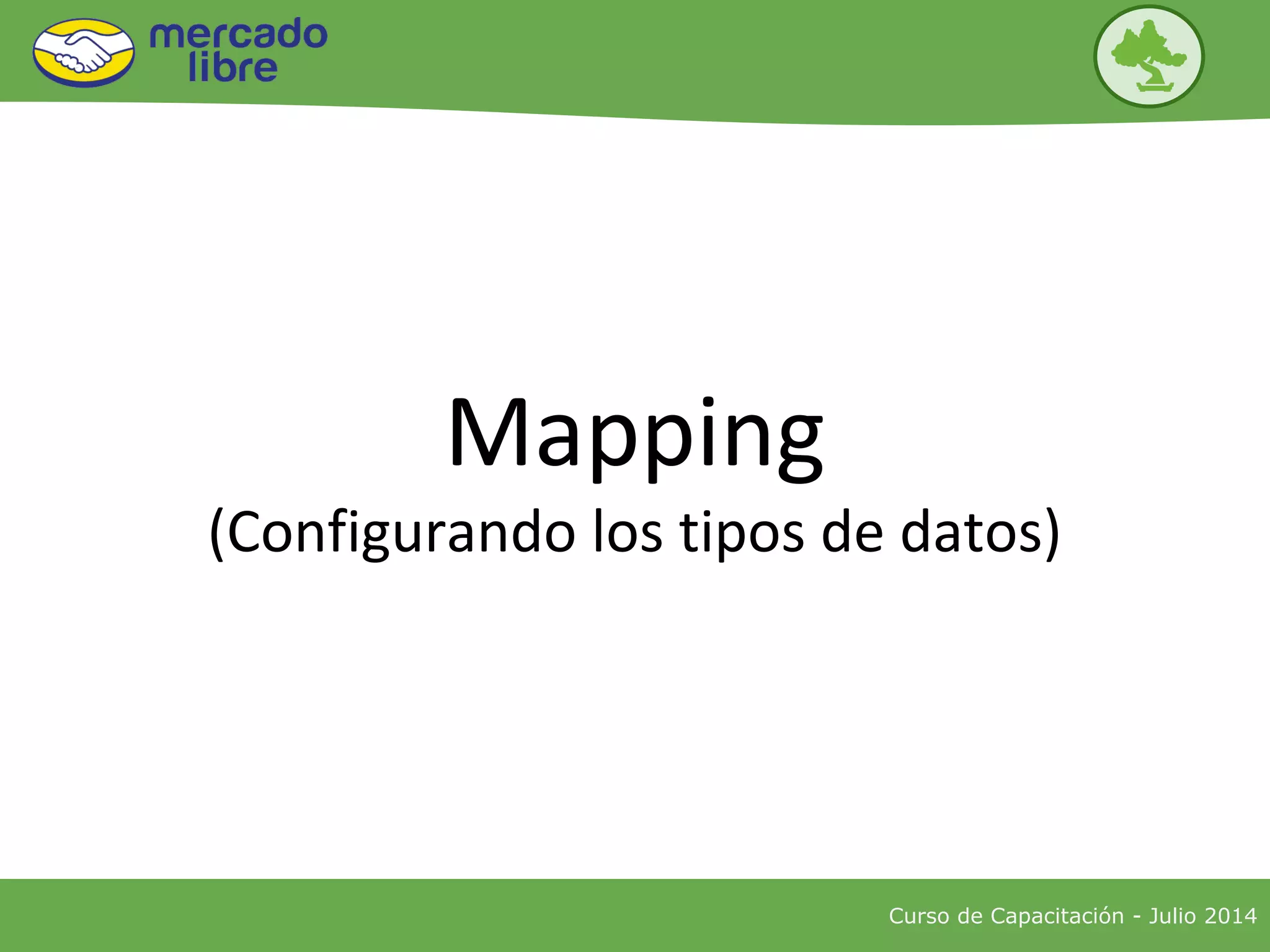 Curso de Capacitación - Julio 2014
Mapping
(Configurando los tipos de datos)
 