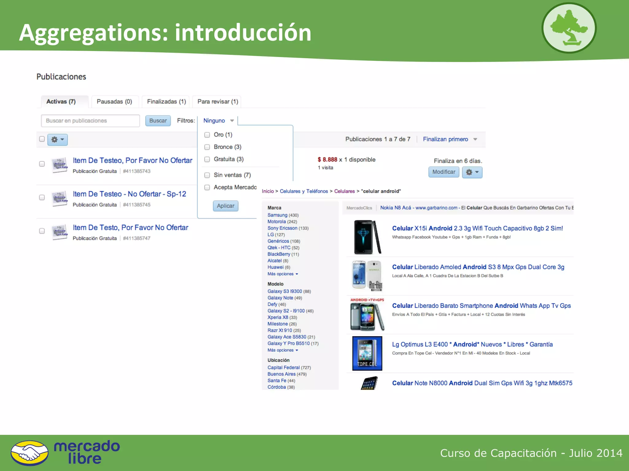 Curso de Capacitación - Julio 2014
Aggregations: introducción
 