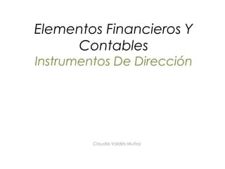 Elementos Financieros Y
     Contables
Instrumentos De Dirección




         Claudia Valdés Muñoz
 