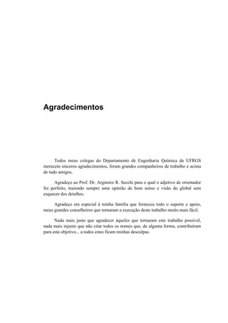 Agradecimentos
Todos meus colegas do Departamento de Engenharia Química da UFRGS
merecem sinceros agradecimentos, foram grandes companheiros de trabalho e acima
de tudo amigos.
Agradeço ao Prof. Dr. Argimiro R. Secchi para o qual o adjetivo de orientador
foi perfeito, trazendo sempre uma opinião de bom senso e visão do global sem
esquecer dos detalhes.
Agradeço em especial à minha família que forneceu todo o suporte e apoio,
meus grandes conselheiros que tornaram a execução deste trabalho muito mais fácil.
Nada mais justo que agradecer àqueles que tornaram este trabalho possível,
nada mais injusto que não citar todos os nomes que, de alguma forma, contribuíram
para este objetivo... a todos estes ficam minhas desculpas.
 