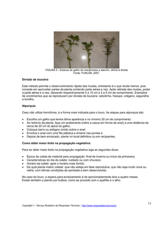 FIGURA 5 - Estacas de galho de manjericões e alecrim, última à direita
                                            Fonte: FURLAN, 2007.

Divisão de touceira

Este método permite o desenvolvimento rápido das mudas, entretanto é o que rende menos, pois
consiste em aproveitar partes da planta contendo parte aérea e raiz. Após retirada das mudas, podar
a parte aérea e a raiz, deixando respectivamente 5 a 10 cm e 2 a 5 cm de comprimento. Exemplos
de condimentos que se reproduzem por divisão de touceira: cebolinha, hissopo, orégano, segurelha
e tomilho.

Alporquia

Caso não utilize hormônios, é a forma mais indicada para o louro. As etapas para alporquia são:

•   Escolha um galho que tenha ótima aparência e no mínimo 30 cm de comprimento;
•   Ao retirá-lo da planta, faça um anelamento (retire a casca em forma de anel) a uma distância de
    cerca de 20 cm do ápice do galho;
•   Coloque barro ou esfagno úmido sobre o anel;
•   Envolva o anel com uma fita plástica e amarre nas pontas e
•   Depois de bem enraizado, plante no local definitivo ou em recipientes.

Como obter maior êxito na propagação vegetativa:

Para se obter maior êxito na propagação vegetativa siga as seguintes dicas:

•   Época de coleta de material para propagação: final de inverno ou início da primavera.
•   Características do dia da coleta: nublado ou com chuvisco.
•   Horário da coleta: após o horário mais tórrido.
•   De qual planta matriz coletar: que não esteja em fase reprodutiva, que não seja muito nova ou
    velha, com ótimas condições de sanidade e bem desenvolvida.

No caso do louro, a espera para enraizamento é de aproximadamente dois a quatro meses.
Existe também o plantio por bulbos, como se procede com o açafrão e o alho.




                                                                                                    13
Copyright © - Serviço Brasileiro de Respostas Técnicas - http://www.respostatecnica.org.br
 