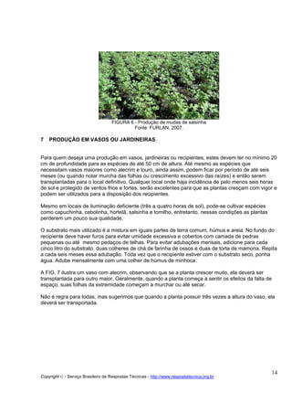 FIGURA 6 - Produção de mudas de salsinha
                                             Fonte: FURLAN, 2007.

7   PRODUÇÃO EM VASOS OU JARDINEIRAS


Para quem deseja uma produção em vasos, jardineiras ou recipientes, estes devem ter no mínimo 20
cm de profundidade para as espécies de até 50 cm de altura. Até mesmo as espécies que
necessitam vasos maiores como alecrim e louro, ainda assim, podem ficar por período de até seis
meses (ou quando notar murcha das folhas ou crescimento excessivo das raízes) e então serem
transplantadas para o local definitivo. Qualquer local onde haja incidência de pelo menos seis horas
de sol e protegido de ventos frios e fortes, serão excelentes para que as plantas cresçam com vigor e
podem ser utilizados para a disposição dos recipientes.

Mesmo em locais de iluminação deficiente (três a quatro horas de sol), pode-se cultivar espécies
como capuchinha, cebolinha, hortelã, salsinha e tomilho, entretanto, nessas condições as plantas
perderem um pouco sua qualidade.

O substrato mais utilizado é a mistura em iguais partes de terra comum, húmus e areia. No fundo do
recipiente deve haver furos para evitar umidade excessiva e cobertos com camada de pedras
pequenas ou até mesmo pedaços de telhas. Para evitar adubações mensais, adicione para cada
cinco litro do substrato, duas colheres de chá de farinha de ossos e duas de torta de mamona. Repita
a cada seis meses essa adubação. Toda vez que o recipiente estiver com o substrato seco, ponha
água. Adube mensalmente com uma colher de húmus de minhoca.

A FIG. 7 ilustra um vaso com alecrim, observando que se a planta crescer muito, ela deverá ser
transplantada para outro maior. Geralmente, quando a planta começa a sentir os efeitos da falta de
espaço, suas folhas da extremidade começam a murchar ou até secar.

Não é regra para todas, mas sugerimos que quando a planta possuir três vezes a altura do vaso, ela
deverá ser transportada.




                                                                                                   14
Copyright © - Serviço Brasileiro de Respostas Técnicas - http://www.respostatecnica.org.br
 