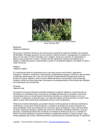 FIGURA 9 - Uma das variedades de manjericão mais usado no Brasil
                                           Fonte: FURLAN, 2007.

Manjerona
Origanum manjerona

Diz-se que o manjerona devido ao seu aroma suave e picante foi criado por Afrodite como símbolo
da felicidade. Os gregos gostavam do seu perfume e depois do banho, massageavam os cabelos e a
testa com seu óleo. É muito confundido com o orégano, sendo que somente um especialista no
gênero é que poderá dar a certeza. Tempero de odor penetrante, bastante semelhante ao do
orégano. É ideal para pizzas, macarronadas e peixes. É considerado digestivo, anti-séptico e alivia a
cólica menstrual.

Orégano
Origanum vulgare

É o mais famoso entre os condimentos com o seu típico aroma como tomilho, segurelha e
manjerona. Também é condimento usado desde a antigüidade por gregos e romanos e são inúmeras
as histórias relacionadas com o seu uso. Na culinária é especialmente indicado para molho de
tomate, em pizzas, saladas e até em carnes. Medicinalmente é recomendado como bactericida,
fungicida, aliviam as dores menstruais, carminativos e antiespasmódicos. Até as flores são utilizadas
em compressas como emolientes.

Pimentas
Capsicum spp

As pimentas da mesma família do pimentão pertencem ao gênero Capsicum, cujos frutos são os
pimentões, as variedades doces, enquanto as variedades picantes são as pimentas e essas são
consideradas como um dos principais condimentos utilizados na culinária brasileira, como, por
exemplo, a malagueta e a dedo-de-moça, e em algumas regiões, pimenta-de-cheiro e cumari. Para
alguns, quanto mais picante mais interessante seu uso como condimentos.

Pertencem à família Solanaceae, que também fornece inúmeras plantas de interesse medicinal ou
condimentar, e entre seus inúmeros gêneros, o Capsicum se destaca por possuir espécies com
essas finalidades. Entre as pimentas de uso comercial, várias se destacam, como a pimenta-dedo-
de-moça, Capsicum baccatum, espécie que conta com diferentes variedades botânicas, como por
exemplo, a variedade pendulum de ocorrência no noroeste da América do Sul e no sudoeste do
Brasil. A pimenta-malagueta, Capsicum frutescens, amplamente utilizada no Brasil e outras, cujos
nomes populares são: cumari, pimenta-de-cheiro, pimenta-biquinho e pimenta-de-bode. É importante

                                                                                                   24
Copyright © - Serviço Brasileiro de Respostas Técnicas - http://www.respostatecnica.org.br
 