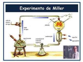 Experimento de Miller
 