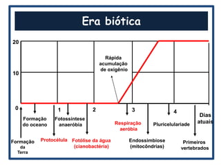 Era biótica
20

                                      Rápida
                                    acumulação
                                    de oxigênio
10




 0                1             2                  3               4
                                                                               Dias
     Formação    Fotossíntese
                                          Respiração       Pluricelulariade
                                                                              atuais
     do oceano    anaeróbia
                                            aeróbia

Formação   Protocélula Fotólise da água           Endossimbiose         Primeiros
   da                   (cianobactéria)           (mitocôndrias)       vertebrados
  Terra
 