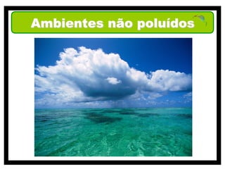 Ambientes não poluídos
 