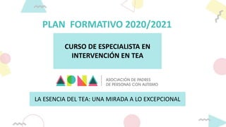 PLAN FORMATIVO 2020/2021
CURSO DE ESPECIALISTA EN
INTERVENCIÓN EN TEA
LA ESENCIA DEL TEA: UNA MIRADA A LO EXCEPCIONAL
 