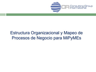 Estructura Organizacional y Mapeo de
 Procesos de Negocio para MiPyMEs
 