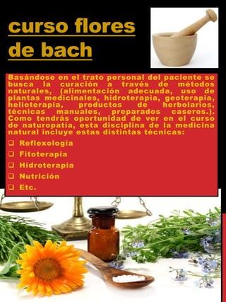 curso flores
de bach
Basándose en el trato personal del paciente se
busca la curación a través de métodos
naturales, (alimentación adecuada, uso de
plantas medicinales, hidroterapia, geoterapia,
helioterapia, productos de herbolarios,
técnicas manuales, preparados caseros.).
Como tendrás oportunidad de ver en el curso
de naturopatía, esta disciplina de la medicina
natural incluye estas distintas técnicas:
 Reflexología
 Fitoterapia
 Hidroterapia
 Nutrición
 Etc.
 