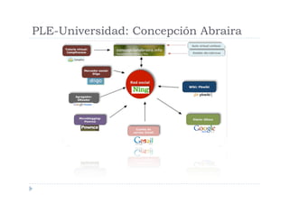PLE-Universidad: Concepción Abraira
 