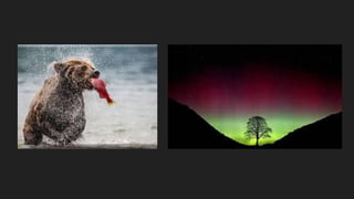 Curso fotografia
