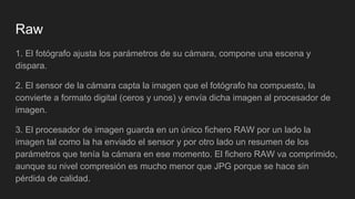 Raw
1. El fotógrafo ajusta los parámetros de su cámara, compone una escena y
dispara.
2. El sensor de la cámara capta la imagen que el fotógrafo ha compuesto, la
convierte a formato digital (ceros y unos) y envía dicha imagen al procesador de
imagen.
3. El procesador de imagen guarda en un único fichero RAW por un lado la
imagen tal como la ha enviado el sensor y por otro lado un resumen de los
parámetros que tenía la cámara en ese momento. El fichero RAW va comprimido,
aunque su nivel compresión es mucho menor que JPG porque se hace sin
pérdida de calidad.
 