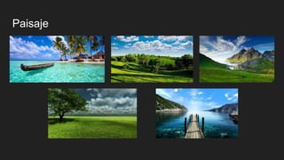 Paisaje
 