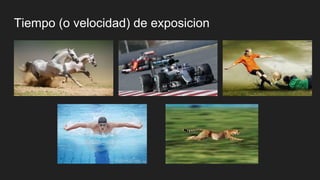 Tiempo (o velocidad) de exposicion
 