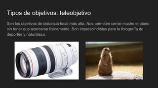 Tipos de objetivos: teleobjetivo
Son los objetivos de distancia focal más alta. Nos permiten cerrar mucho el plano
sin tener que acercarse físicamente. Son imprescindibles para la fotografía de
deportes y naturaleza.
 
