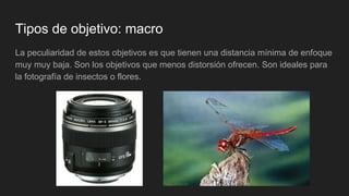 Tipos de objetivo: macro
La peculiaridad de estos objetivos es que tienen una distancia mínima de enfoque
muy muy baja. Son los objetivos que menos distorsión ofrecen. Son ideales para
la fotografía de insectos o flores.
 