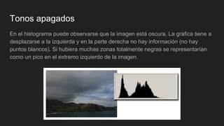 Tonos apagados
En el histograma puede observarse que la imagen está oscura. La gráfica tiene a
desplazarse a la izquierda y en la parte derecha no hay información (no hay
puntos blancos). Si hubiera muchas zonas totalmente negras se representarían
como un pico en el extremo izquierdo de la imagen.
 