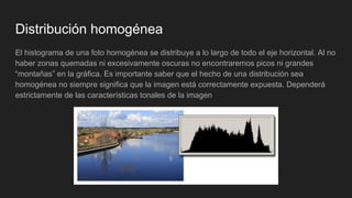Distribución homogénea
El histograma de una foto homogénea se distribuye a lo largo de todo el eje horizontal. Al no
haber zonas quemadas ni excesivamente oscuras no encontraremos picos ni grandes
“montañas” en la gráfica. Es importante saber que el hecho de una distribución sea
homogénea no siempre significa que la imagen está correctamente expuesta. Dependerá
estrictamente de las características tonales de la imagen
 
