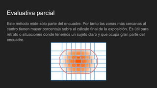 Evaluativa parcial
Este método mide sólo parte del encuadre. Por tanto las zonas más cercanas al
centro tienen mayor porcentaje sobre el cálculo final de la exposición. Es útil para
retrato o situaciones donde tenemos un sujeto claro y que ocupa gran parte del
encuadre.
 