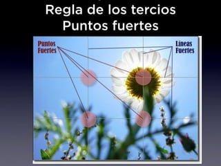 Regla de los tercios
  Puntos fuertes
 