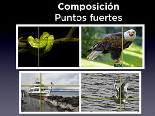 Composición
Puntos fuertes
 