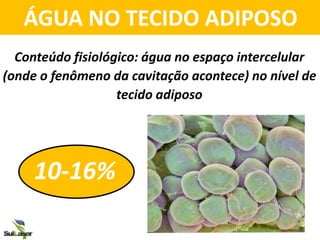 10-16%
Conteúdo fisiológico: água no espaço intercelular
(onde o fenômeno da cavitação acontece) no nível de
tecido adiposo
ÁGUA NO TECIDO ADIPOSO
 