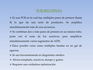 PCR MULTIPLEX

 Es una PCR en la cual hay múltiples pares de primers (hasta
8) lo que da una serie de productos. Se amplifica
simultáneamente más de una secuencia.
 Se combinan dos o más pares de primers en un mismo tubo,
junto   con   el   resto   de   los   reactivos,   para   amplificar
simultáneamente varios segmentos de ADN.
 Éstos pueden verse como múltiples bandas en un gel de
agarosa.
 Se usa frecuentemente en diagnóstico médico.
 Ahorra templado, reactivos, tiempo y gastos.
 Requiere una cuidadosa optimización
 