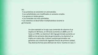 Así:
• Las proteínas se convierten en aminoácidos.
• Los carbohidratos son modificados en azúcares simples.
• Las grasas en ácidos grasos.
• Los minerales son más asimilables.
• Las vitaminas se desarrollan multiplicándose durante la
germinación.
Un claro ejemplo es la soja cuyo contenido de vitamina A se
duplica en 48 horas, en 54 horas aumenta un 280% y en 72
horas un 370%. La vitamina C del trigo germinado aumenta un
600% en los primeros días de germinación y la vitamina E se
triplica en cuatro días. Cultivar nuestros germinados nos
garantiza una cosecha de vegetales frescos de primera calidad.
Hay diversas formas para disfrutar de micro- huertos en casa. S
 