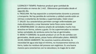 5.ESPACIO Y TIEMPO: Podemos producir gran cantidad de
germinados en menos de 1 mt2 . Obtenemos germinados desde el
segundo día.
6. FRESCURA: No hay exposición a contaminantes durante su proceso
y transporte. No hay perdida de nutrientes y calidad cuando están en
vitrinas o estanterías de tiendas y supermercados. Están vivos!
7. SALUD: Sus características permiten corregir enfermedades por
mala alimentación y crear bienestar tanto físico como mental.
8. VERSÁTIBILIDAD: Un abanico amplio de variedades mucho mas
atractivo en forma, colores y gusto. En los supermercados no existen
tantas variedades de verduras como los hay en germinados.
9. MENÚ Y COMIDAS: Se puede producir un sin fin de comidas con
germinados, desde panes, pizzas hasta sofisticados platos. AMIGOS
10.DEL MEDIO AMBIENTE: No cocemos nuestros alimentos, la
necesidad de agua esta bajo el mínimo, no incorporamos toxinas a la
tierra, todos los residuos del proceso son orgánicos. Es una buena
manera para conectarnos con la naturaleza y la magia de la vida!
 
