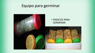 Equipo para germinar
• FRASCOS PARA
GERMINAR
 