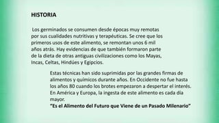 HISTORIA
Los germinados se consumen desde épocas muy remotas
por sus cualidades nutritivas y terapéuticas. Se cree que los
primeros usos de este alimento, se remontan unos 6 mil
años atrás. Hay evidencias de que también formaron parte
de la dieta de otras antiguas civilizaciones como los Mayas,
Incas, Celtas, Hindúes y Egipcios.
Estas técnicas han sido suprimidas por las grandes firmas de
alimentos y químicos durante años. En Occidente no fue hasta
los años 80 cuando los brotes empezaron a despertar el interés.
En América y Europa, la ingesta de este alimento es cada día
mayor.
“Es el Alimento del Futuro que Viene de un Pasado Milenario”
 