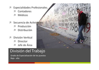   Especialidades	
  Profesionales.	
  
     Contadores	
  
     Médicos	
  

  Secuencia	
  de	
  Ac0vidades	
  
     Producción	
  
     Distribución	
  

  División	
  Ver0cal	
  
     Director	
  
     Jefe	
  de	
  Área	
  

 División	
  del	
  Trabajo	
  
 Grado	
  de	
  Especialización	
  de	
  los	
  puestos	
  
 Baja	
  -­‐	
  alta	
  
 
