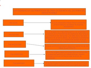 LAS EXIGENCIAS SISTEMÁTICAS DE CADA CATEGORÍA DEL SISTEMA DEL
HECHO PUNIBLE
Hay acción Si no se comprueba fuerza física irresistible,
un acto reflejo o un estado de absoluta
inconsciencia
Hay tipicidad
Si, en el plano de la tipicidad objetiva, se comprueba la
presencia de la totalidad de los elementos descriptivos
y normativos del tipo penal y, en plano de la tipicidad
subjetivo de un delito doloso, se comprueba la presencia
del conocimiento y la voluntad de realizar la acción
descripta en el tipo (cuando no hay un error de tipo)
Hay antijuricidad
Si no se verifica la presencia objetiva y subjetiva de una
Causa de justificación
Hay culpabilidad
Si no hay ninguna causal de inimputabilidad (minoridad
o incapacidad genérica de culpabilidad por razones
clínicas) y si no se verifica un caso de error de
prohibición
Hay punibilidad Si no hay ninguna excusa absolutoria o si se verifica la
presencia de la condición objetiva exigible en el caso
 