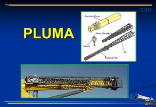 PLUMA
C.B.B.
 