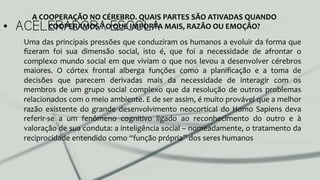 •  ACELERADORA ESCOLA
Uma	
  das	
  principais	
  pressões	
  que	
  conduziram	
  os	
  humanos	
  a	
  evoluir	
  da	
  forma	
  que	
  
ﬁzeram	
   foi	
   sua	
   dimensão	
   social,	
   isto	
   é,	
   que	
   foi	
   a	
   necessidade	
   de	
   afrontar	
   o	
  
complexo	
  mundo	
  social	
  em	
  que	
  viviam	
  o	
  que	
  nos	
  levou	
  a	
  desenvolver	
  cérebros	
  
maiores.	
   O	
   córtex	
   frontal	
   alberga	
   funções	
   como	
   a	
   planiﬁcação	
   e	
   a	
   toma	
   de	
  
decisões	
   que	
   parecem	
   derivadas	
   mais	
   da	
   necessidade	
   de	
   interagir	
   com	
   os	
  
membros	
  de	
  um	
  grupo	
  social	
  complexo	
  que	
  da	
  resolução	
  de	
  outros	
  problemas	
  
relacionados	
  com	
  o	
  meio	
  ambiente.	
  E	
  de	
  ser	
  assim,	
  é	
  muito	
  provável	
  que	
  a	
  melhor	
  
razão	
  existente	
  do	
  grande	
  desenvolvimento	
  neocortical	
  do	
  Homo	
  Sapiens	
  deva	
  
referir-­‐se	
   a	
   um	
   fenômeno	
   cognitivo	
   ligado	
   ao	
   reconhecimento	
   do	
   outro	
   e	
   à	
  
valoração	
  de	
  sua	
  conduta:	
  a	
  inteligência	
  social	
  –	
  nomeadamente,	
  o	
  tratamento	
  da	
  
reciprocidade	
  entendido	
  como	
  “função	
  própria”	
  dos	
  seres	
  humanos	
  	
  
A	
  COOPERAÇÃO	
  NO	
  CÉREBRO.	
  QUAIS	
  PARTES	
  SÃO	
  ATIVADAS	
  QUANDO	
  
COOPERAMOS	
  ?	
  O	
  QUE	
  IMPORTA	
  MAIS,	
  RAZÃO	
  OU	
  EMOÇÃO?	
  
 