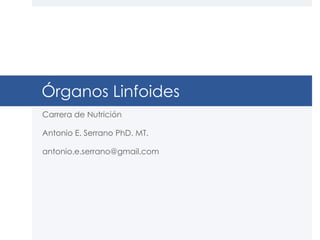 Órganos Linfoides
Carrera de Nutrición
Antonio E. Serrano PhD. MT.
antonio.e.serrano@gmail.com
 
