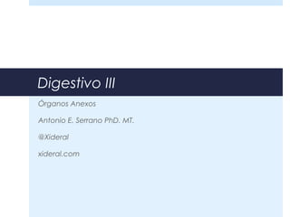 Digestivo III
Órganos Anexos
Antonio E. Serrano PhD. MT.
@Xideral
xideral.com
 