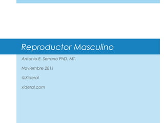 Reproductor Masculino
Antonio E. Serrano PhD. MT.
Noviembre 2011
@Xideral
xideral.com
 