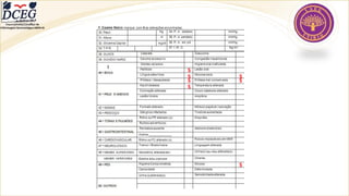 Departamento Científico de
Enfermagem Gerontológica ABEN-RJ
Padronizar s
Fiscalizações
S
S
S
S
S
S
S
 