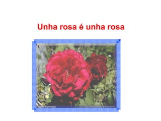 Unha rosa é unha rosa
 