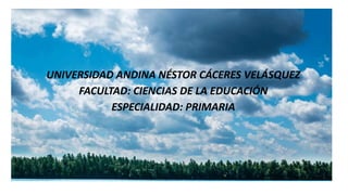 UNIVERSIDAD ANDINA NÉSTOR CÁCERES VELÁSQUEZ
FACULTAD: CIENCIAS DE LA EDUCACIÓN
ESPECIALIDAD: PRIMARIA
 