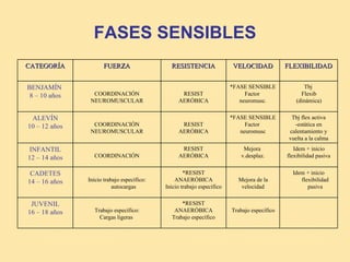 FASES SENSIBLES
CATEGORÍA             FUERZA                  RESISTENCIA               VELOCIDAD            FLEXIBILIDAD


BENJAMÍN                                                                *FASE SENSIBLE              Tbj
 8 – 10 años     COORDINACIÓN                     RESIST                     Factor                Flexib
                NEUROMUSCULAR                    AERÓBICA                  neuromusc.            (dinámica)


 ALEVÍN                                                                 *FASE SENSIBLE         Tbj flex activa
10 – 12 años     COORDINACIÓN                     RESIST                     Factor             -estática en
                NEUROMUSCULAR                    AERÓBICA                  neuromusc          calentamiento y
                                                                                              vuelta a la calma
INFANTIL                                          RESIST                     Mejora             Idem + inicio
12 – 14 años     COORDINACIÓN                    AERÓBICA                   v.desplaz.       flexibilidad pasiva


 CADETES                                            *RESIST                                    Idem + inicio
14 – 16 años   Inicio trabajo específico:       ANAERÓBICA                Mejora de la            flexibilidad
                          autocargas        Inicio trabajo específico      velocidad                 pasiva


 JUVENIL                                          *RESIST
16 – 18 años     Trabajo específico:           ANAERÓBICA               Trabajo específico
                   Cargas ligeras             Trabajo específico
 