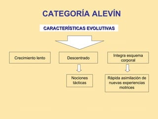 CATEGORÍA ALEVÍN
               CARACTERÍSTICAS EVOLUTIVAS




                                         Integra esquema
Crecimiento lento      Descentrado
                                              corporal



                         Nociones     Rápida asimilación de
                          tácticas    nuevas experiencias
                                            motrices
 